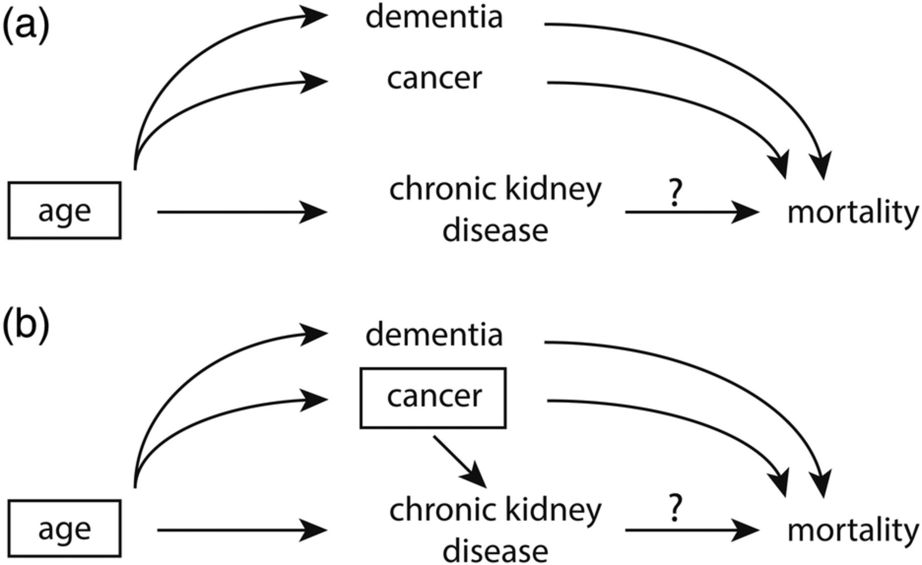 Graphical presentation of confounding in directed acyclic graphs. Identification of a minimal set of factors to resolve confounding. In (a), the backdoor path from chronic kidney disease (CKD) to mortality can be blocked by just conditioning on age, as depicted by the box around age. However if we assume that cancer also causes CKD (b), the backdoor paths can only be closed by conditioning on two factors, either age and cancer (as depicted) or cancer and dementia. Source: @suttorp:2015.