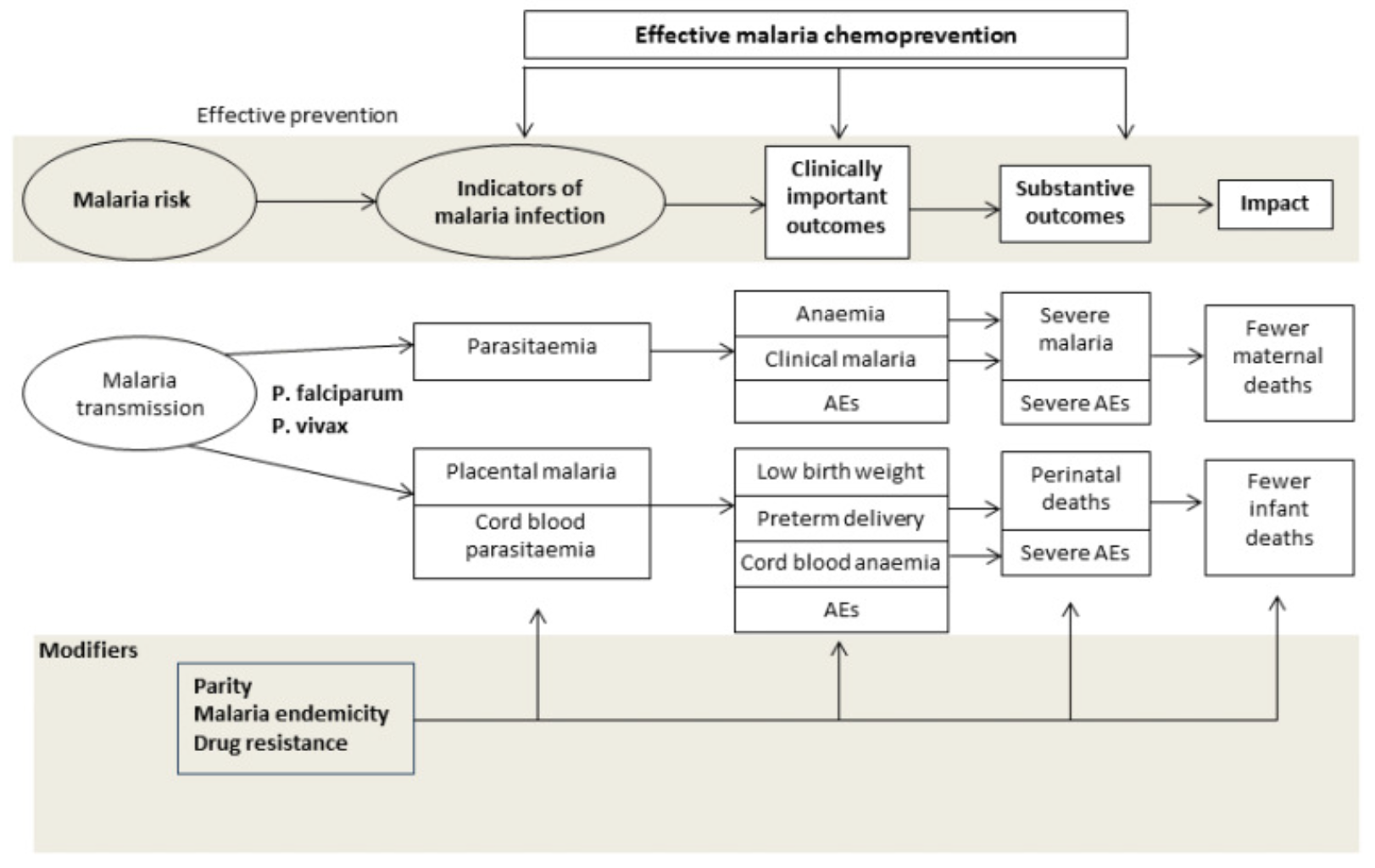 Drugs for preventing malaria in pregnancy: conceptual framework. Source: @radevapetrova:2014, http://bit.ly/1U3q2Oj